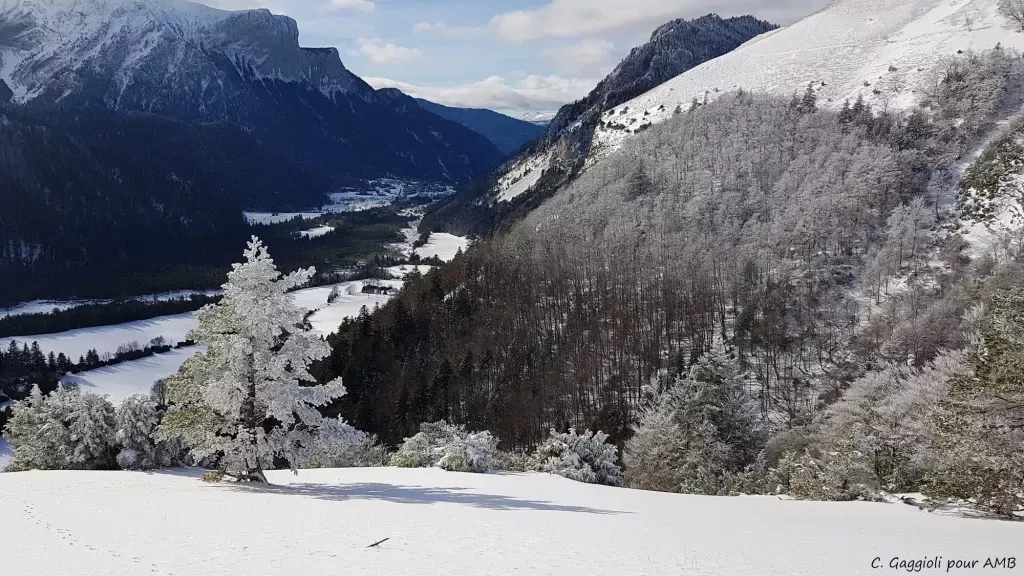 media-library1v6dl2sg03o5467BK4o