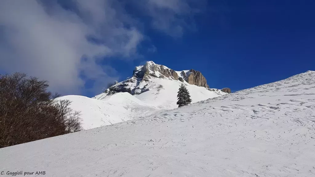 media-library37e8228o1hmt91PnVqo