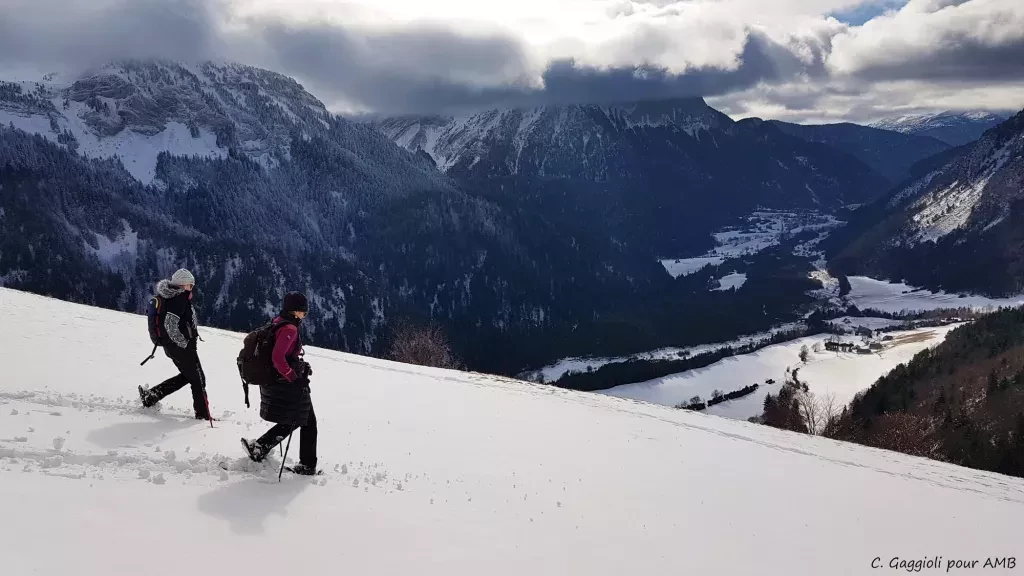 media-librarytrqgkfn0srakfG8mSNp