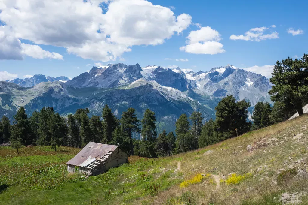 media-library1fm0g9mvrdam63RVDjn