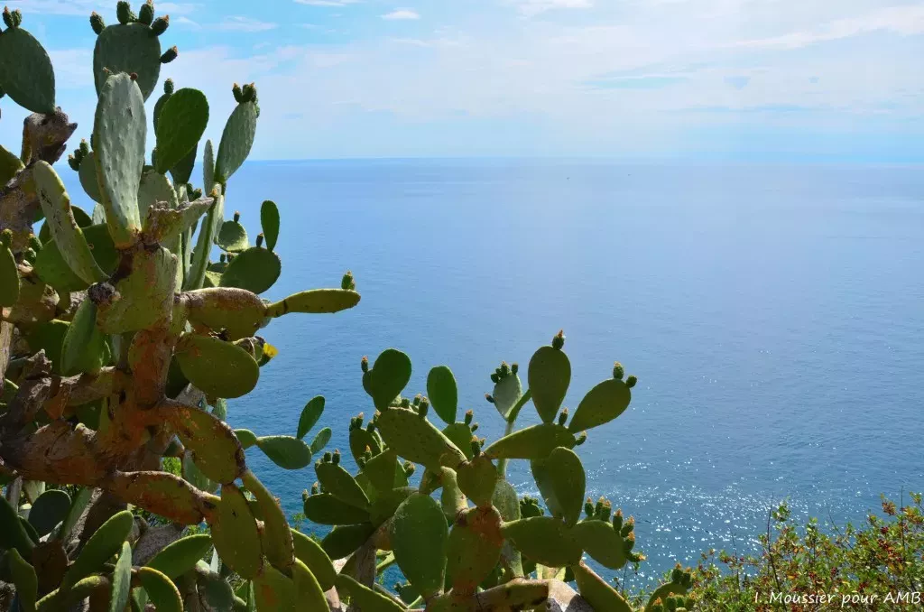 media-library69mgecj30tsq4z3UBbo