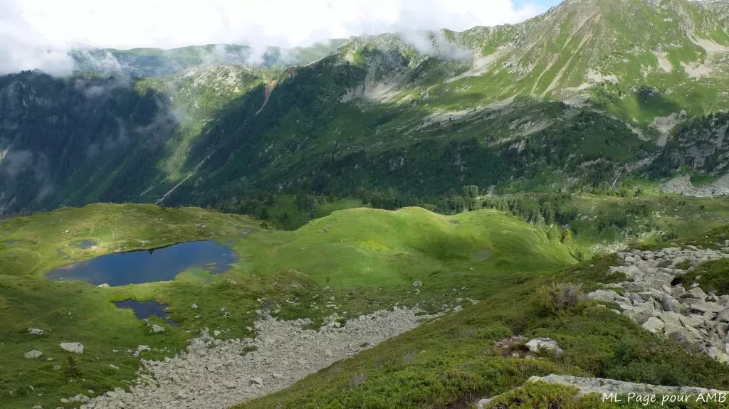 media-librarystr4l3pn58m775yIRsl