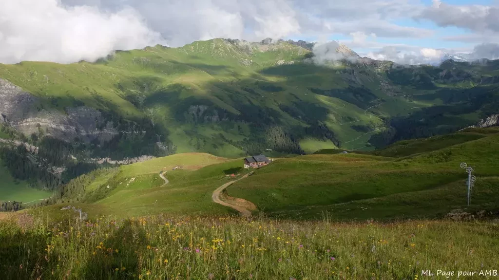 media-librarynqi36jtjjsmc5mInman