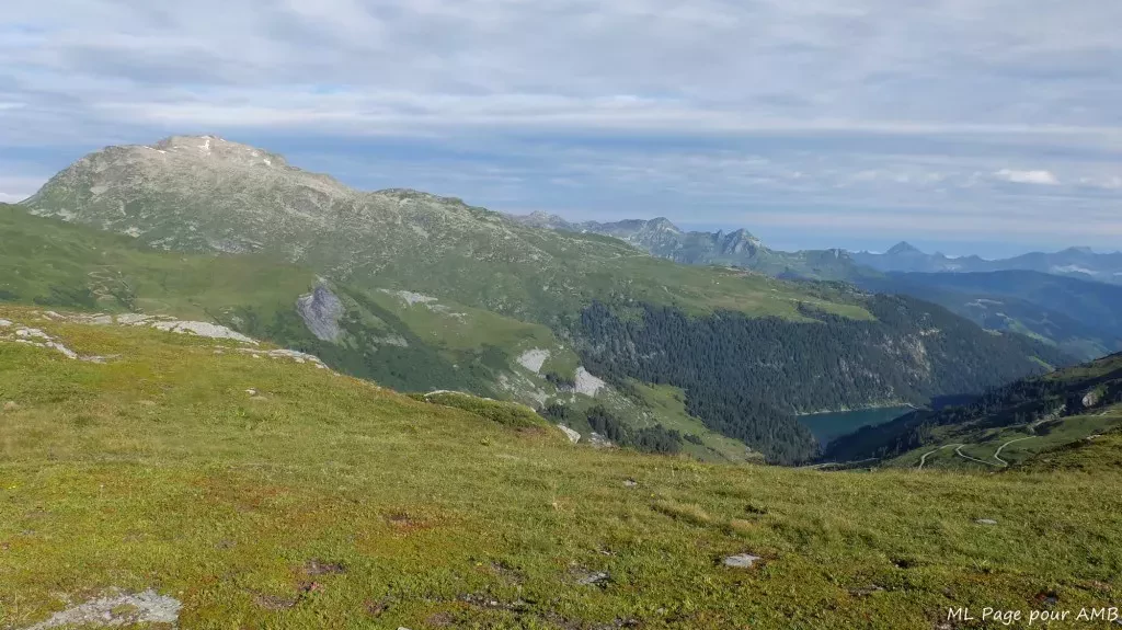 media-library1q6t2i288ifpceuonsm