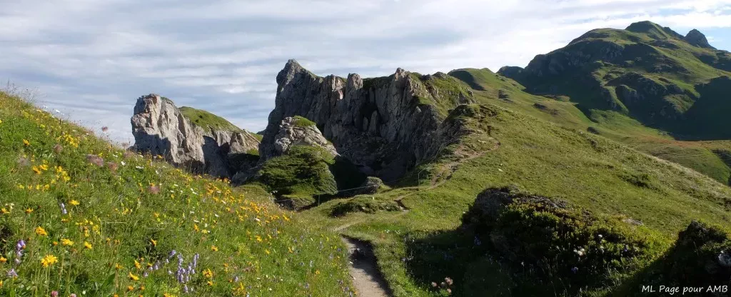 media-librarynngl3hujbol55DjA96p