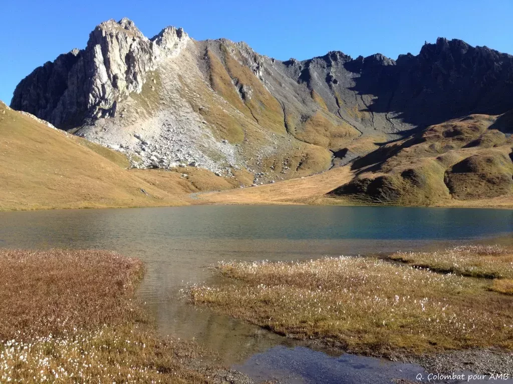 media-librarypemti1vbrmdmdLdnxKo