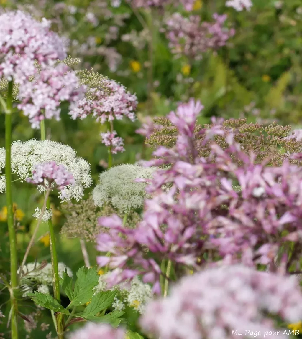 media-libraryrik12jcs9goqcLcu8Pn