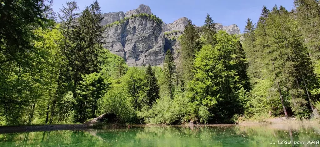 media-library016gc6g9mc1eaVKEiMo