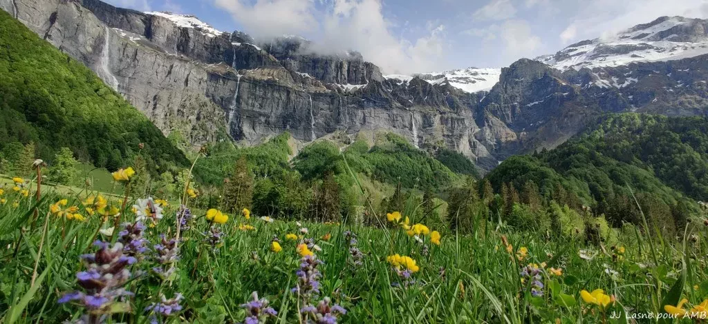 media-librarytll4d2nlr4jsayy94Kp