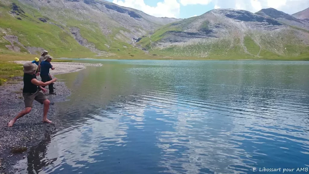 media-libraryfh4f5m55s7io1UWQ35n