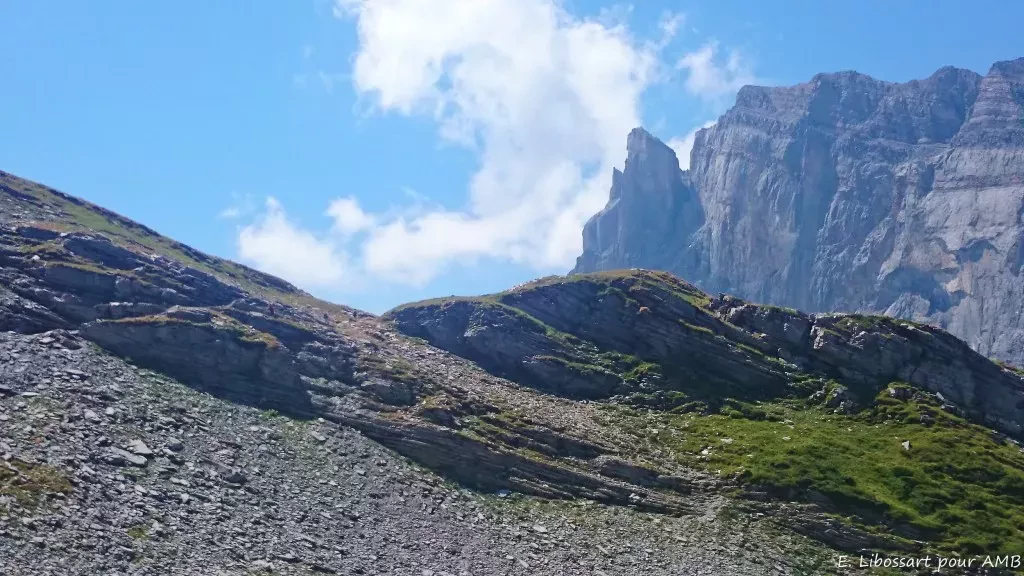 media-libraryf1u4kupjepfvccw6S7p