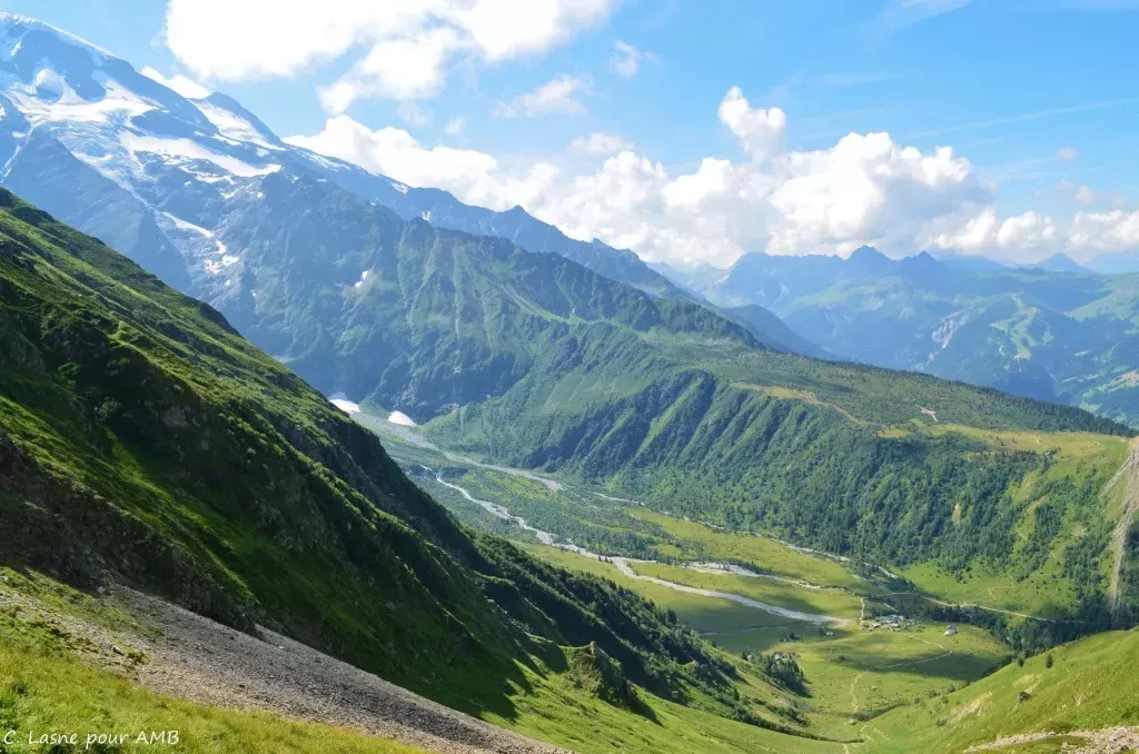 media-librarymkcqkb9ktssv1Ww4QBn