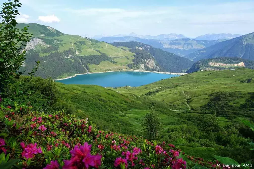 media-library8fd1ml2j2nm9dlh0L9o