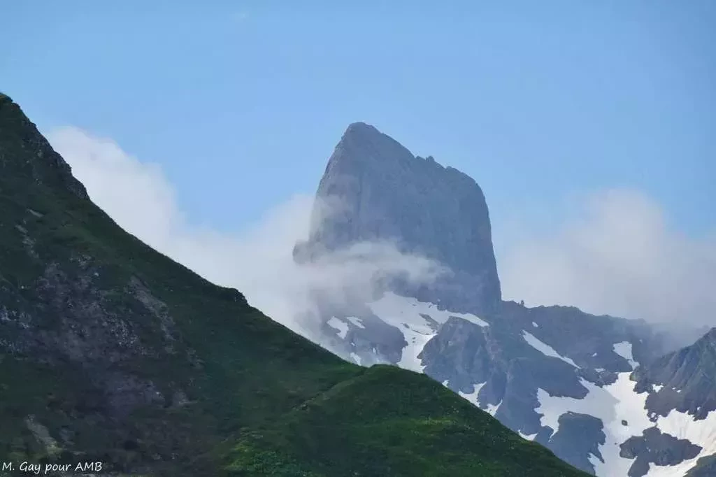 media-libraryr3kbqli29vum3YKoH9o