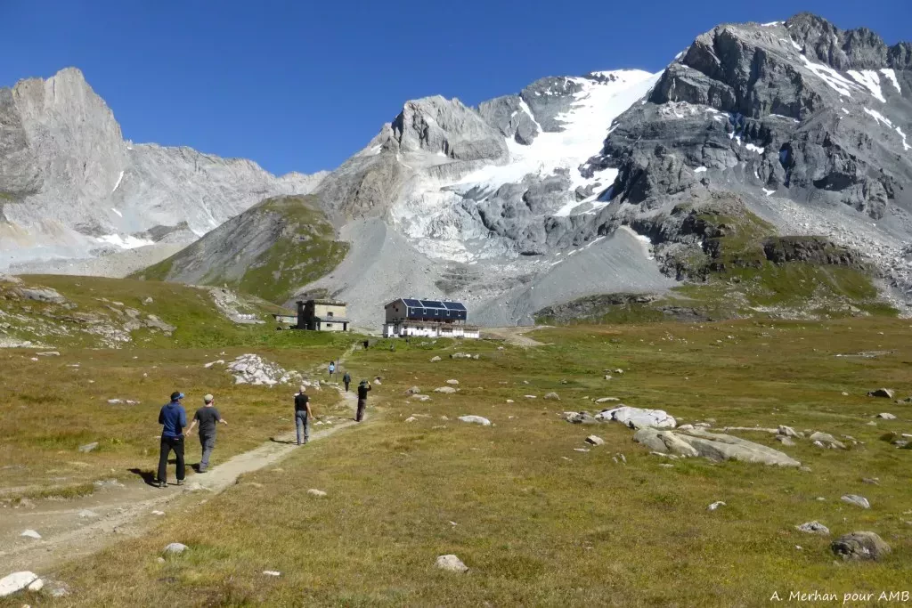 media-libraryagbvdli0s9d0cgbEE5n