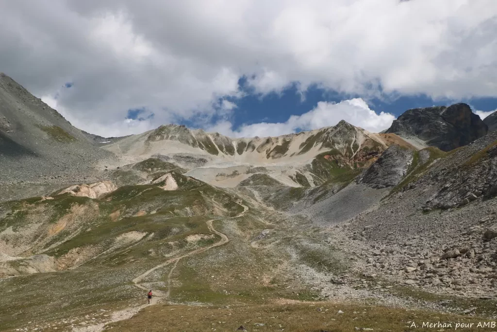 media-libraryfkbhodh6rrcqeF6myZm