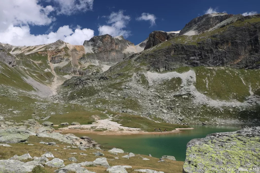 media-librarym90g5ennt0qd46riOnp