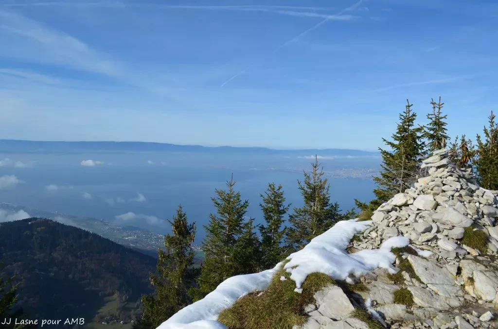 media-librarydm9d4sif35n8d38J2yp