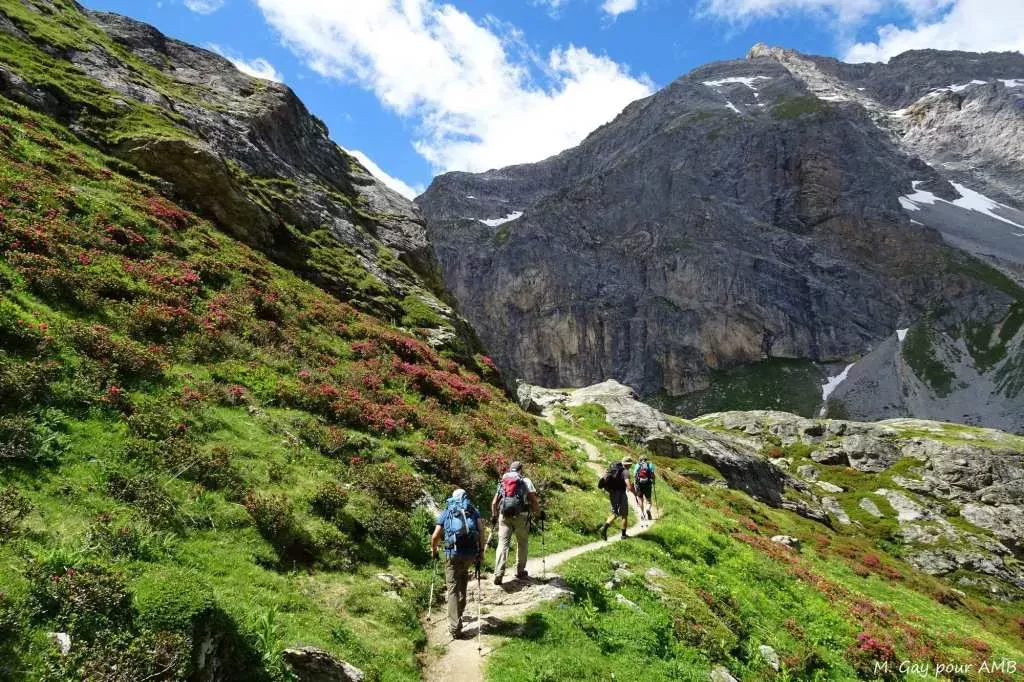 media-library8nrpc8dq0olhbNdoi9l