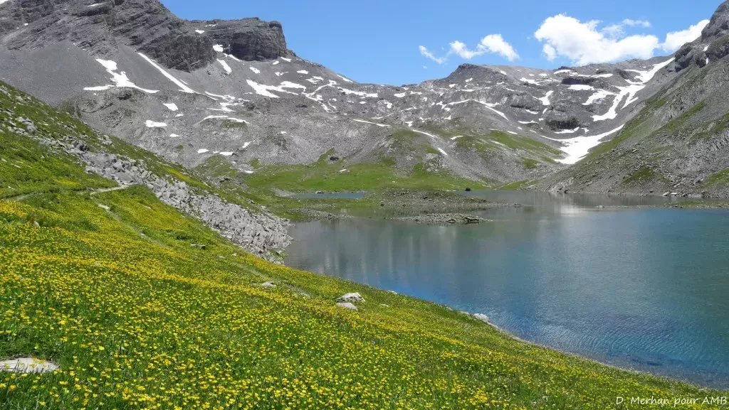 media-library39q6o0ini9b0bi3Q0sl