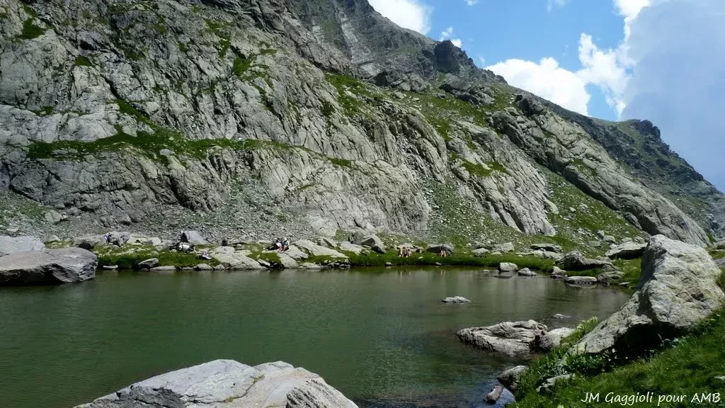 media-librarytu08qeptacsa83oCuHn