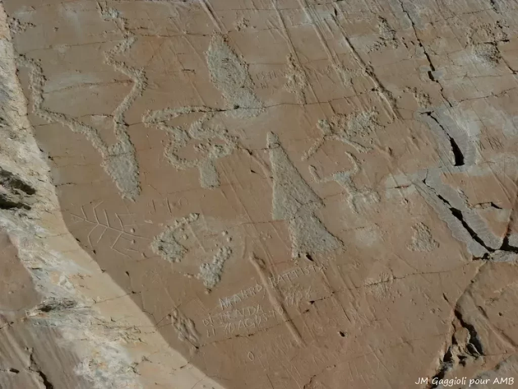 media-library9vjnkog3j1tb0nVL7Oo