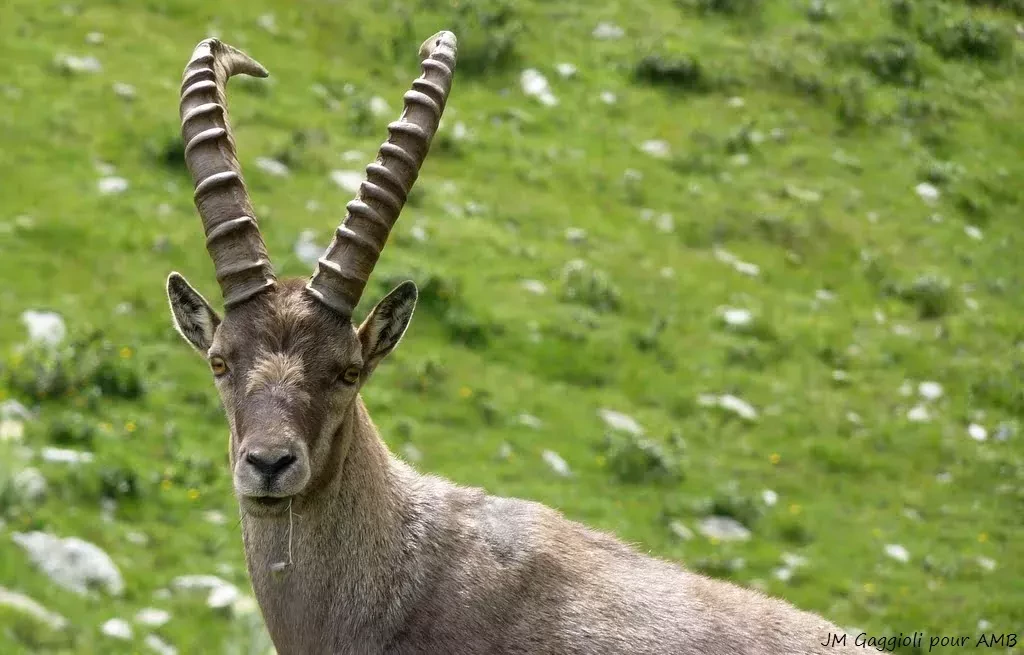 media-library5ts22c96v03r8eVuhRp