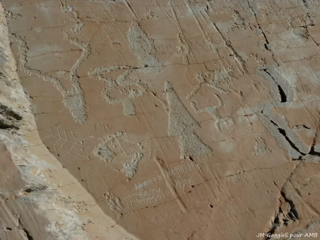 media-librarypbf5een861ml7xTcJxz