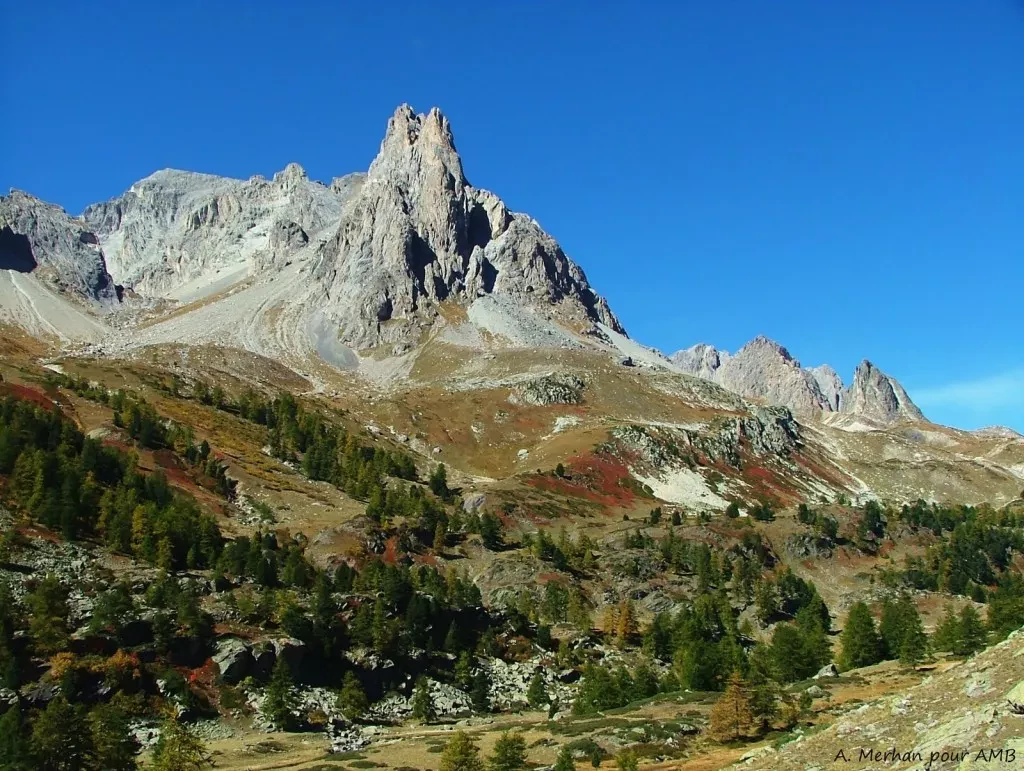 media-librarydro1uhi4g0h5dAdbzVA