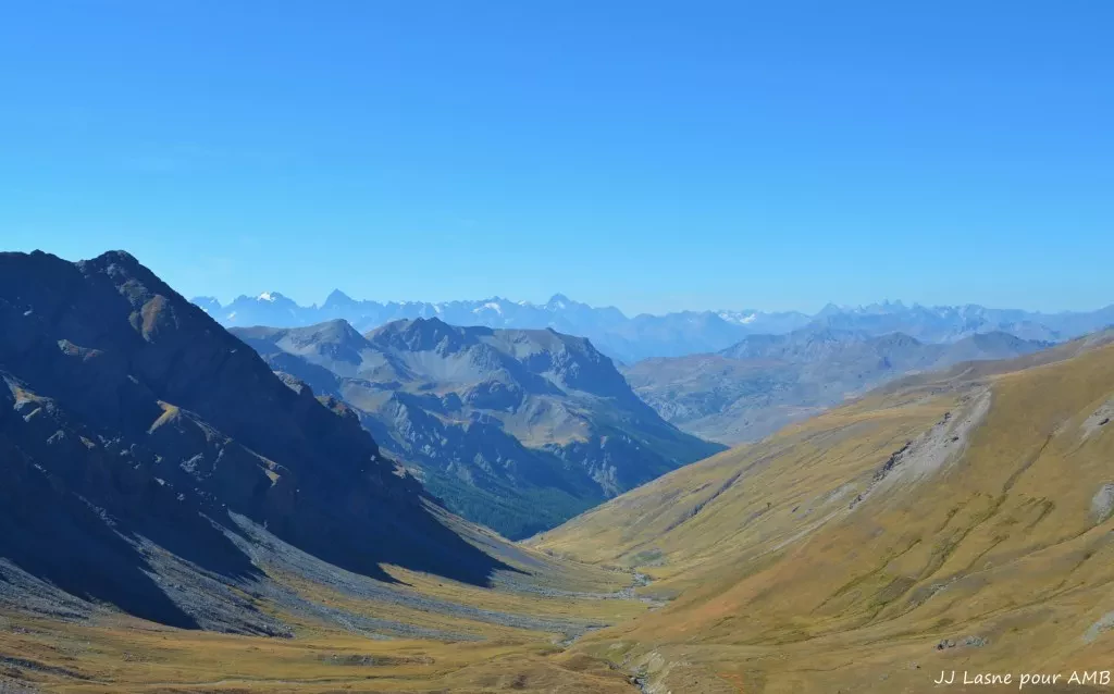 media-librarylskn58bmsh8ve1nLbnB