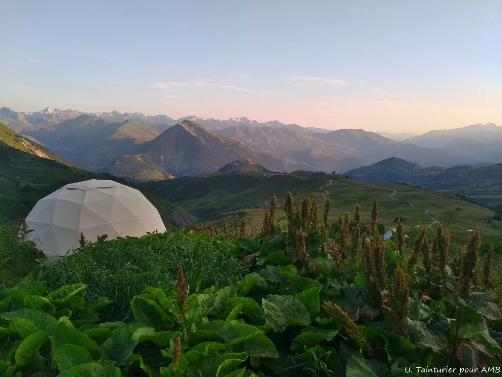 media-library4fsh24hd5umg7LzeUtB