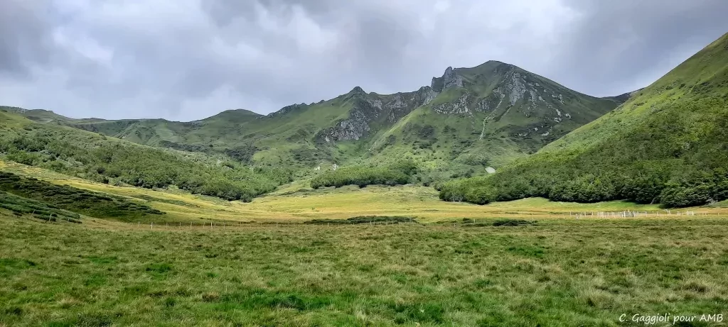 media-libraryj1ls4kj0hqrebo6sikC