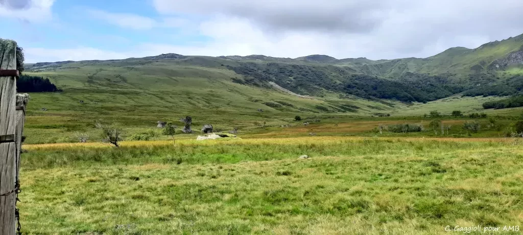 media-librarygj2i9hvl50bldnyL8RB