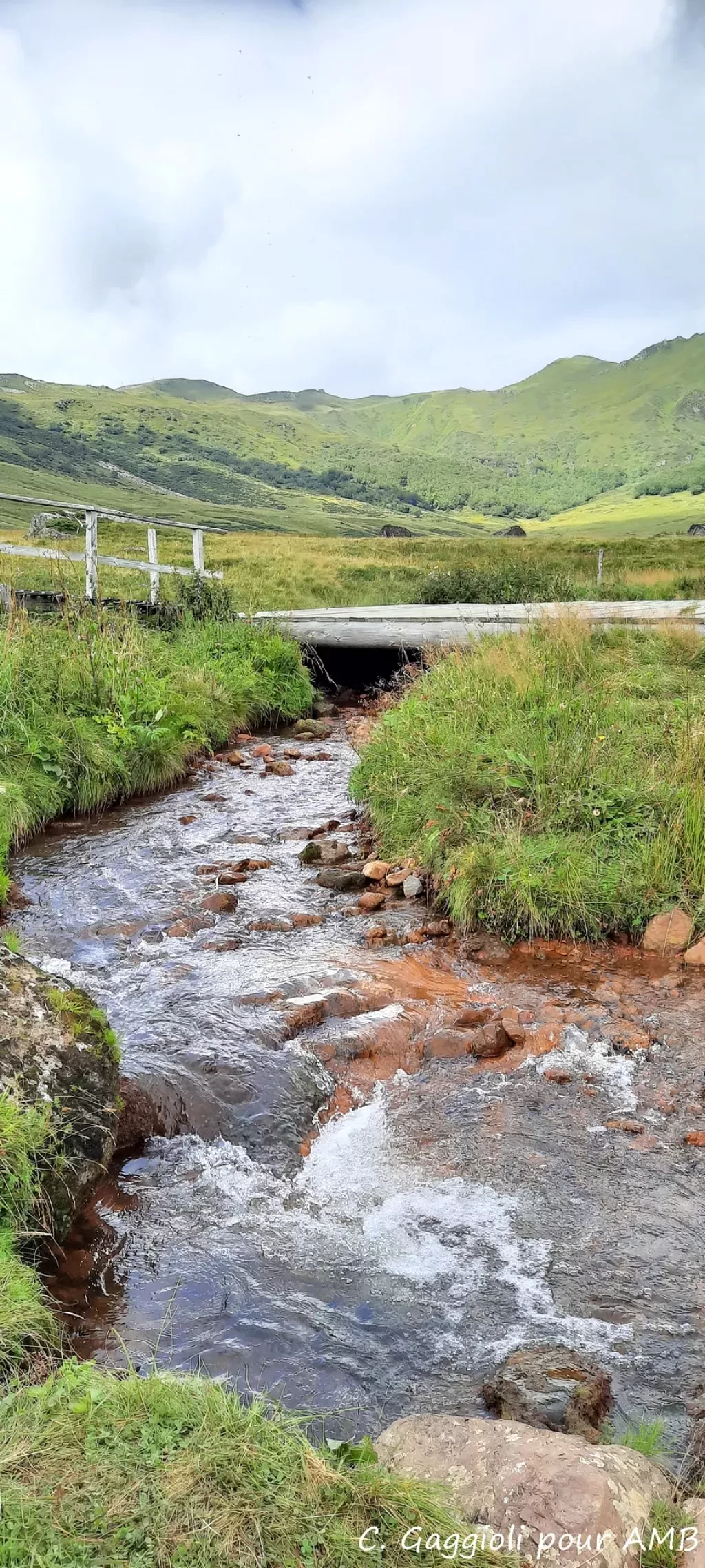 media-libraryf3glm44qqql81VGGQkA