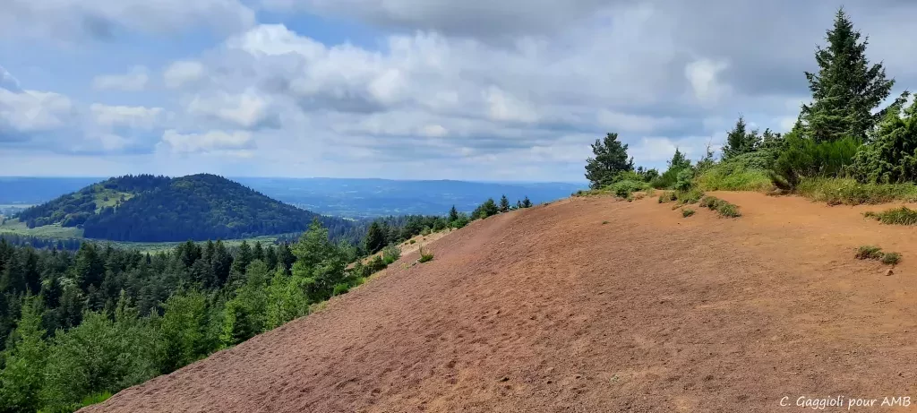 media-libraryrim3n3dubtv28Ugkpxz