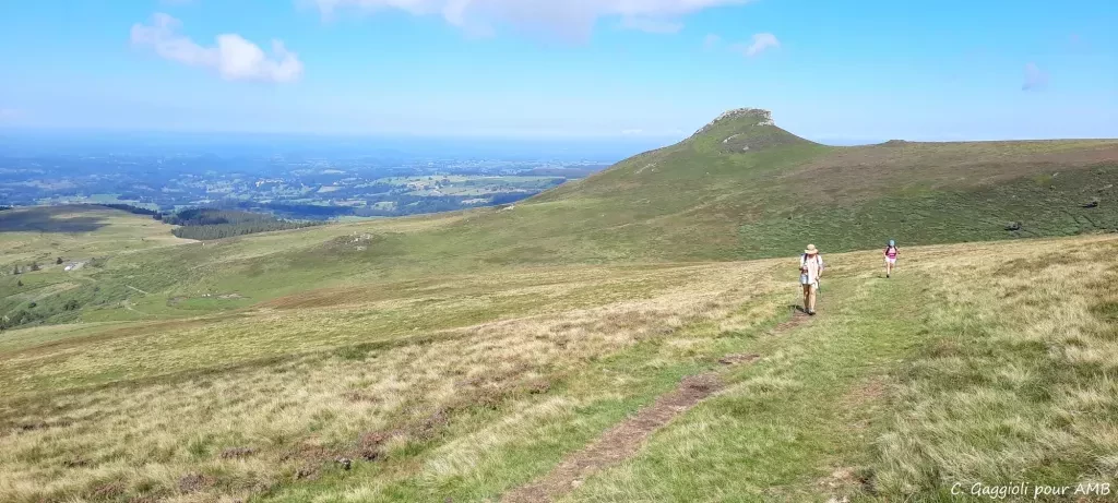 media-librarydsllskbplec8cPn2glB