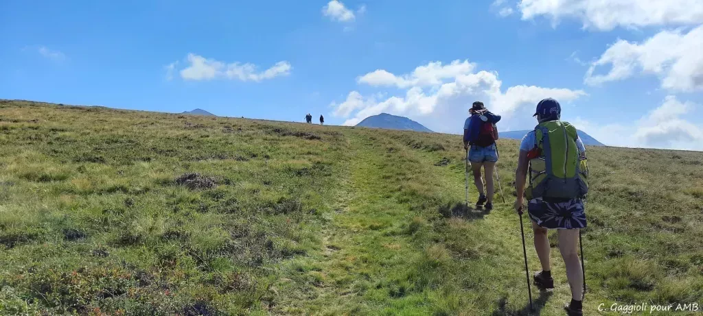 media-library4qrttih6n5pe2A1LYjA