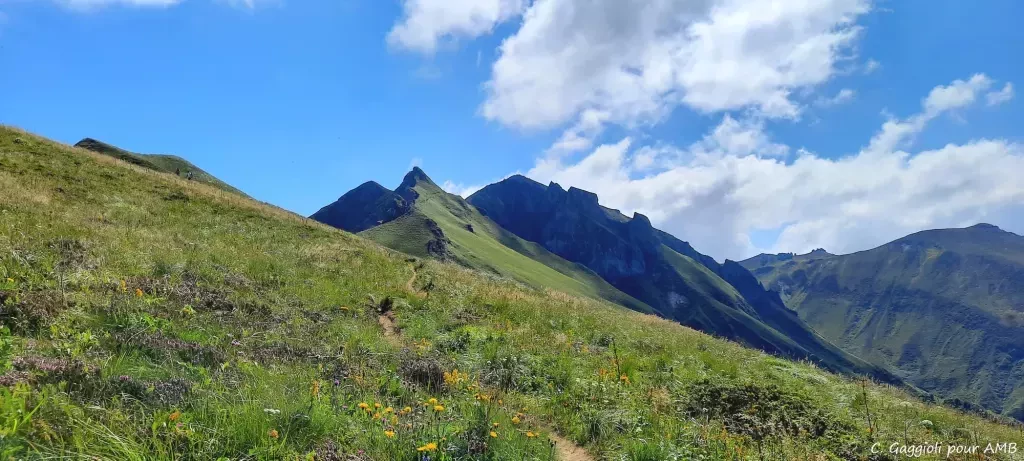 media-libraryq2cc9j82e55ceGfWeBB