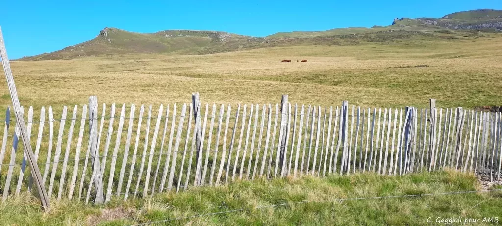 media-librarykj5gia7ji683dYjMnBy