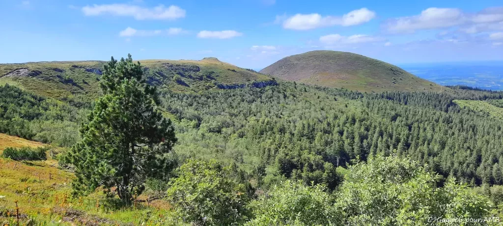 media-libraryu7vjh7q2e9t95KtWCOz