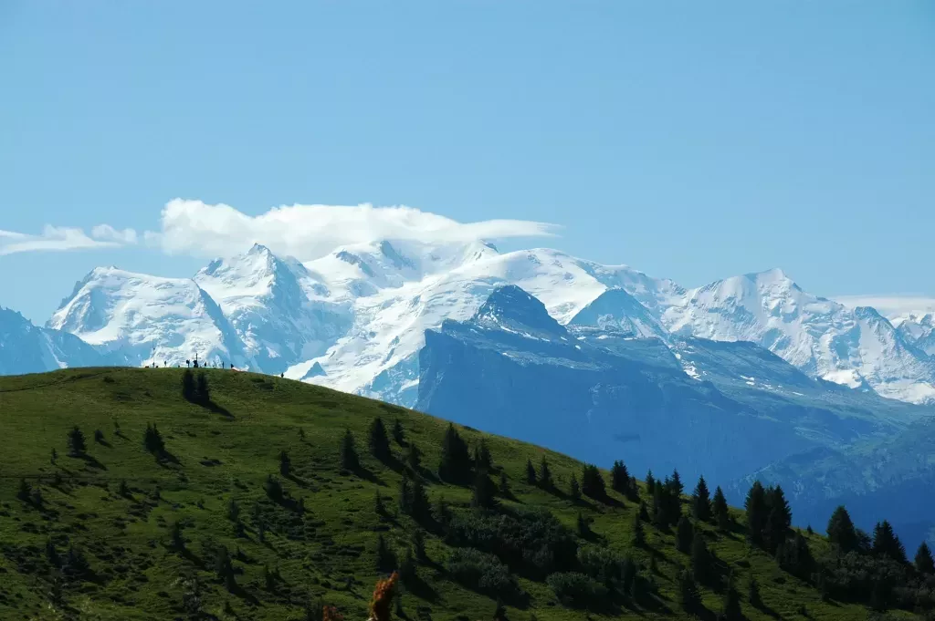 media-libraryji7r0iv6q7jk87AD0Ry