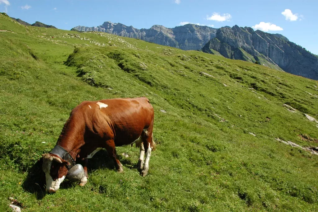 media-library5l7f6md1r8io3caoaPA