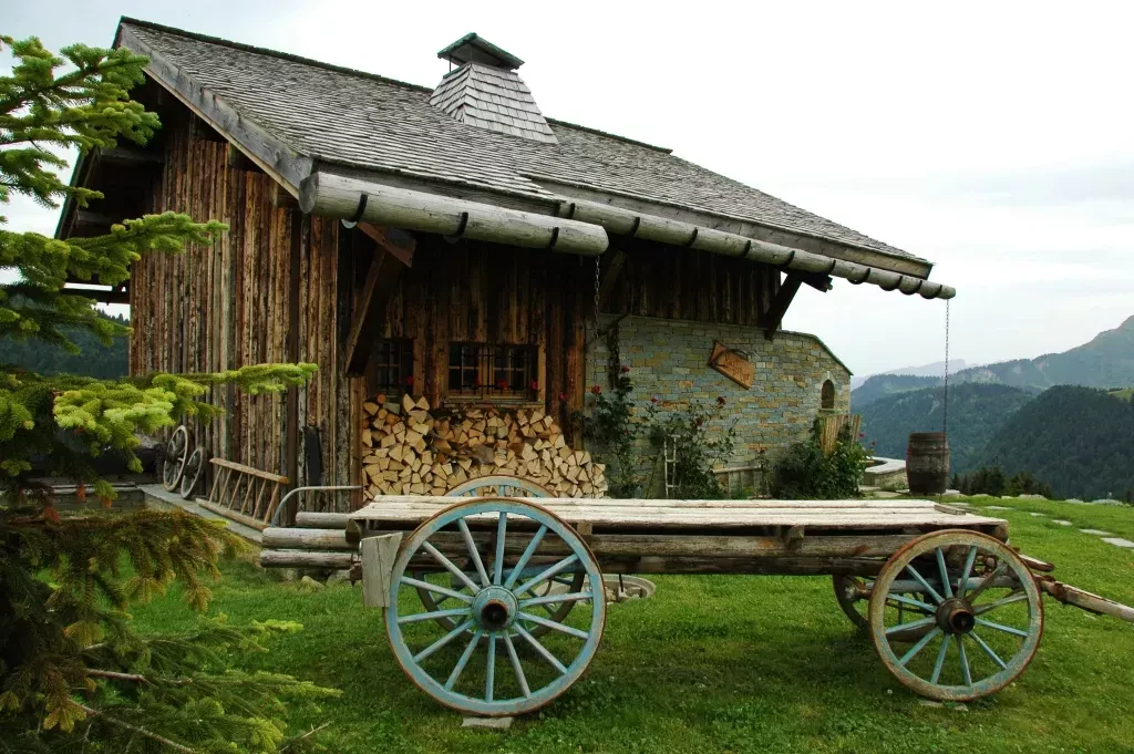 media-library4s23bahljmue9EDkRFy