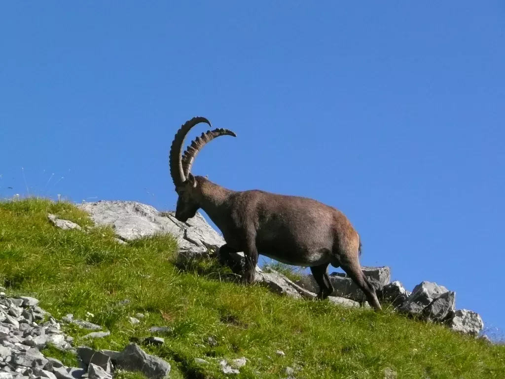 media-librarydjtbb4b1ii5mfto5YDy