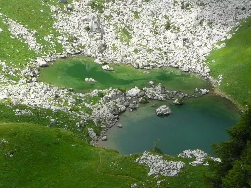 media-libraryde9llejka1lca1kD80A