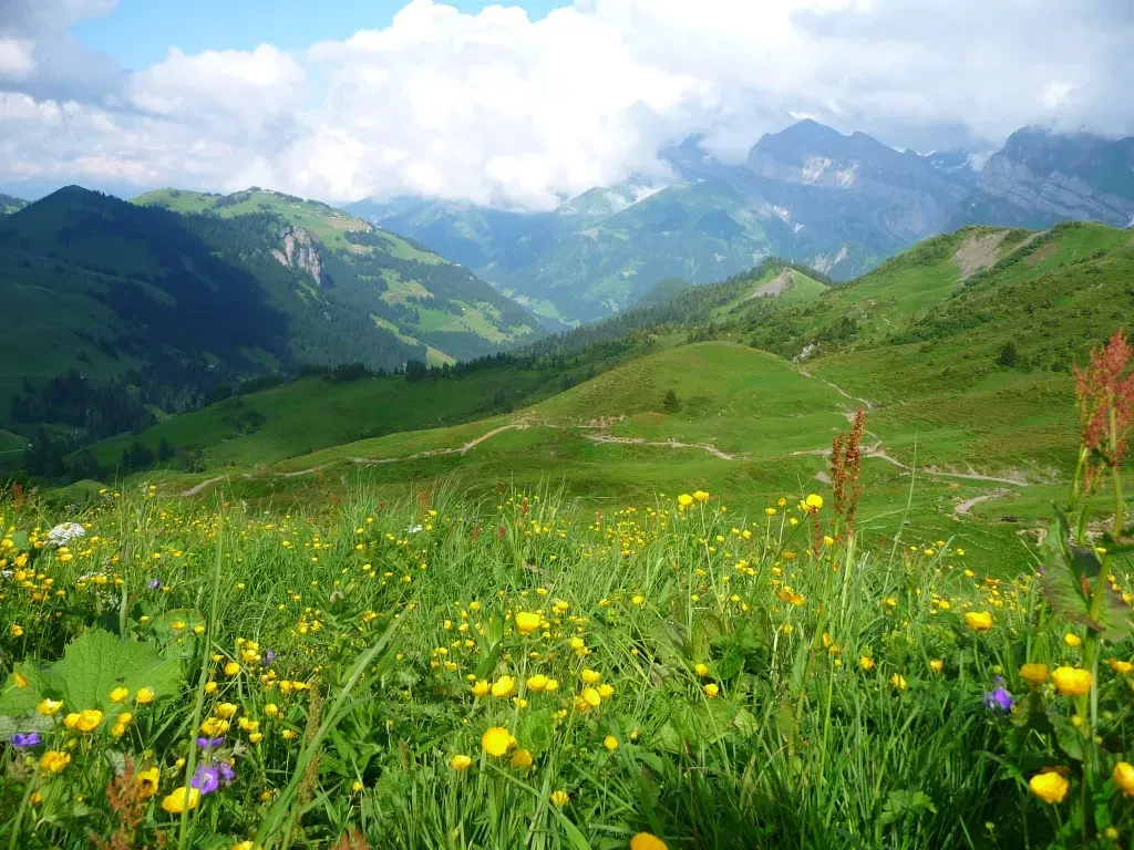 media-libraryso9o2dkc3nge6GnKYBC