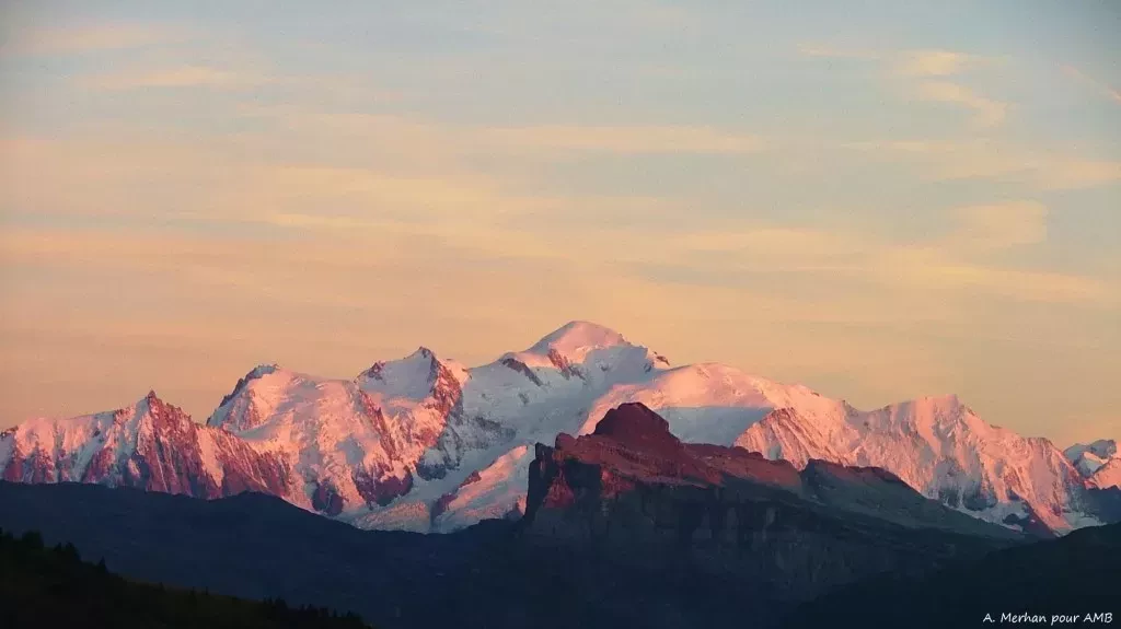 media-library6l8d1s49bdslcZXYcTA