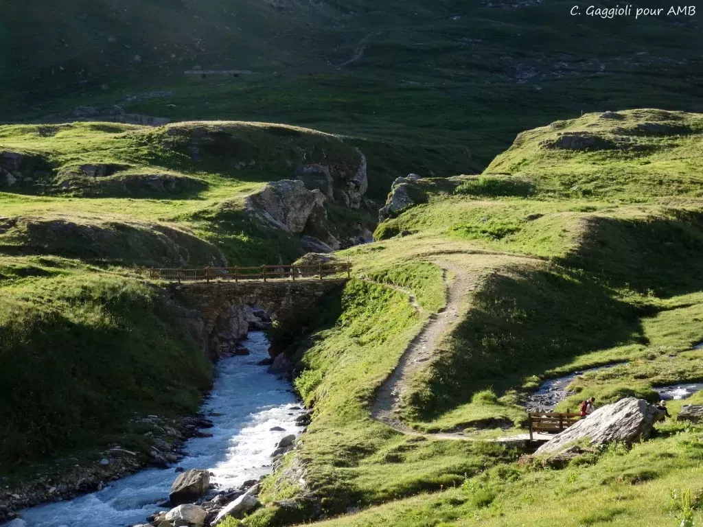 media-library0sh63egqqkl94UO74pA