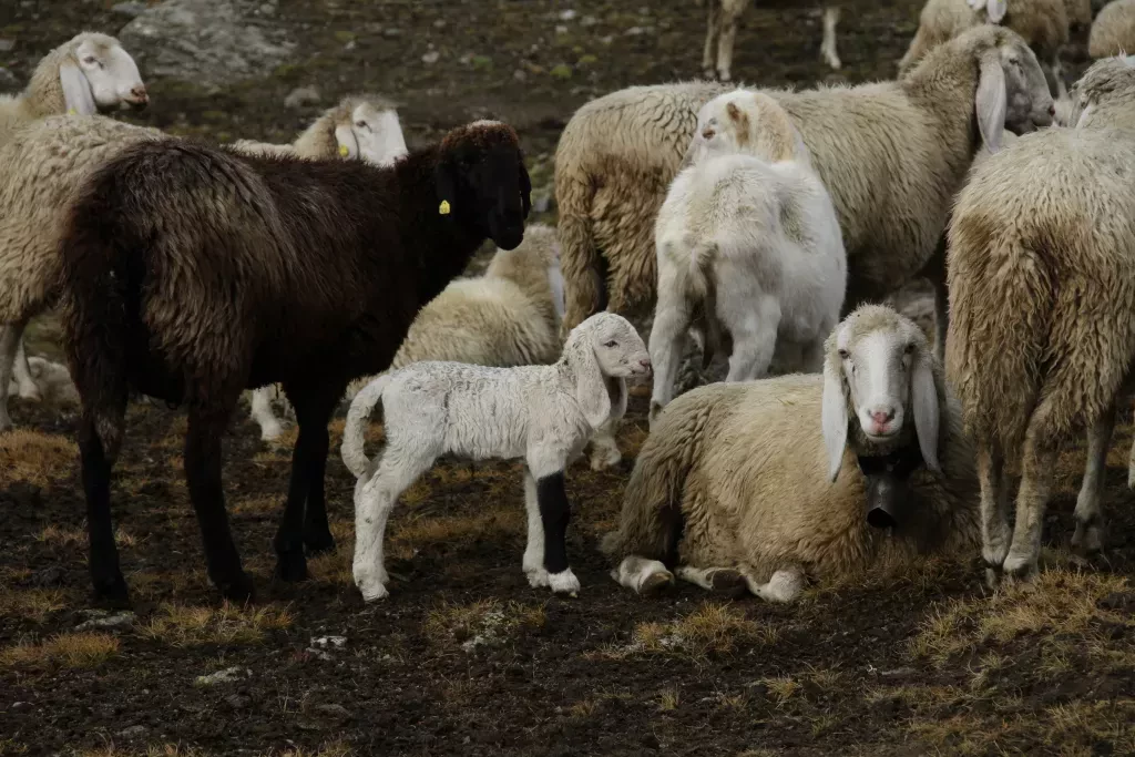 media-library3s5n1e1makoq875Cj5y