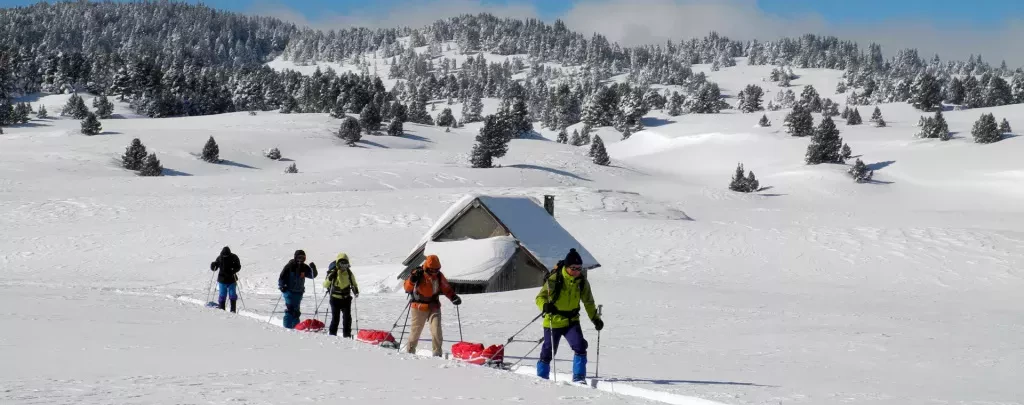 media-librarynpfhasflvch7aYPRBLy